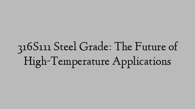316S111 Steel Grade: The Future of High-Temperature Applications