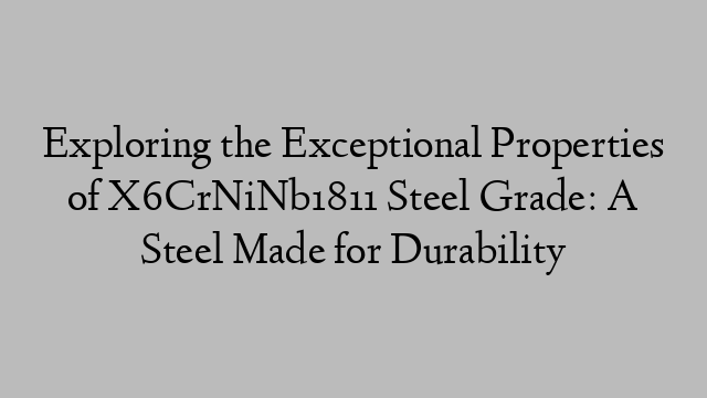 Exploring the Exceptional Properties of X6CrNiNb1811 Steel Grade: A Steel Made for Durability