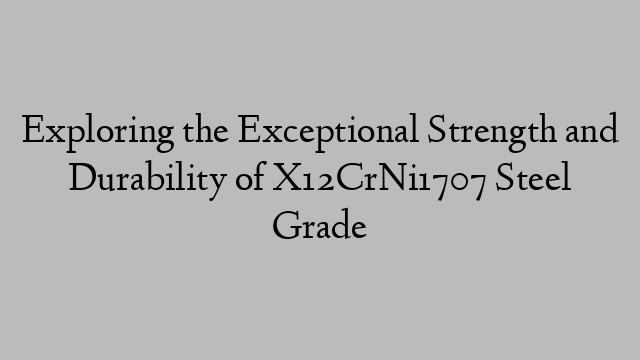 Exploring the Exceptional Strength and Durability of X12CrNi1707 Steel Grade