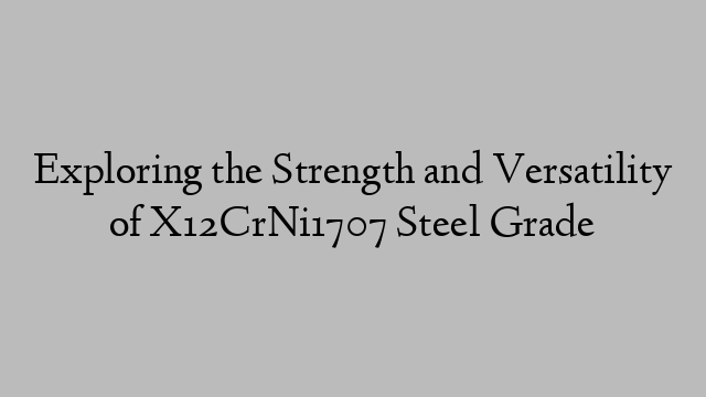 Exploring the Strength and Versatility of X12CrNi1707 Steel Grade