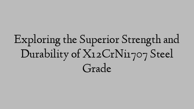 Exploring the Superior Strength and Durability of X12CrNi1707 Steel Grade