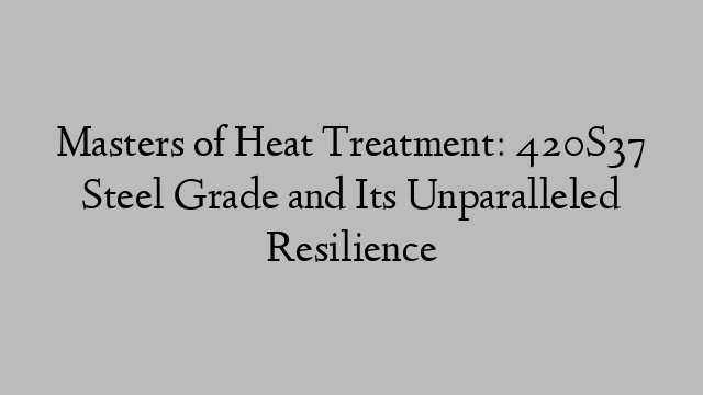 Masters of Heat Treatment: 420S37 Steel Grade and Its Unparalleled Resilience