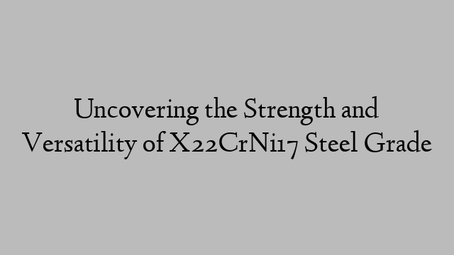 Uncovering the Strength and Versatility of X22CrNi17 Steel Grade