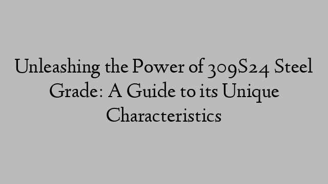 Unleashing the Power of 309S24 Steel Grade: A Guide to its Unique Characteristics