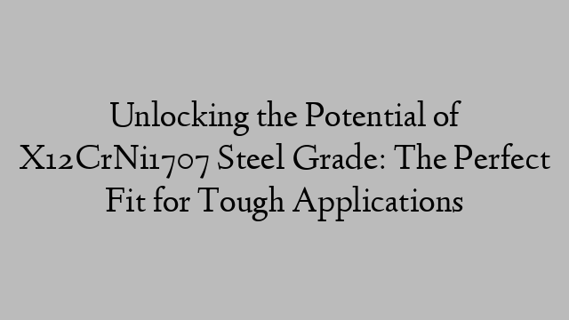 Unlocking the Potential of X12CrNi1707 Steel Grade: The Perfect Fit for Tough Applications