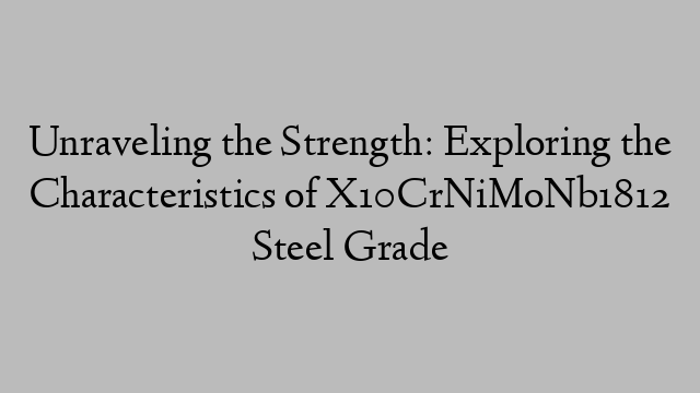 Unraveling the Strength: Exploring the Characteristics of X10CrNiMoNb1812 Steel Grade