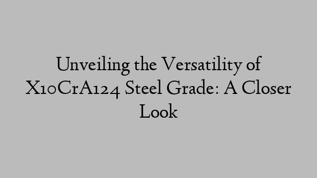 Unveiling the Versatility of X10CrA124 Steel Grade: A Closer Look