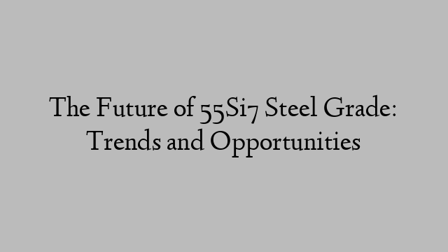 The Future of 55Si7 Steel Grade: Trends and Opportunities