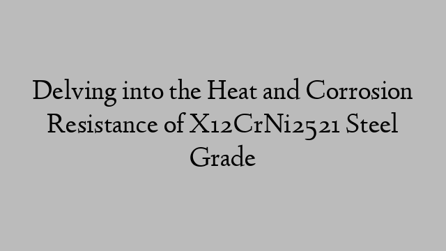 Delving into the Heat and Corrosion Resistance of X12CrNi2521 Steel Grade