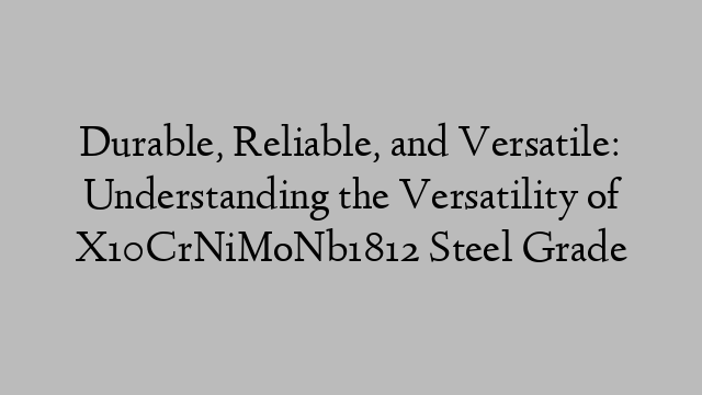 Durable, Reliable, and Versatile: Understanding the Versatility of X10CrNiMoNb1812 Steel Grade