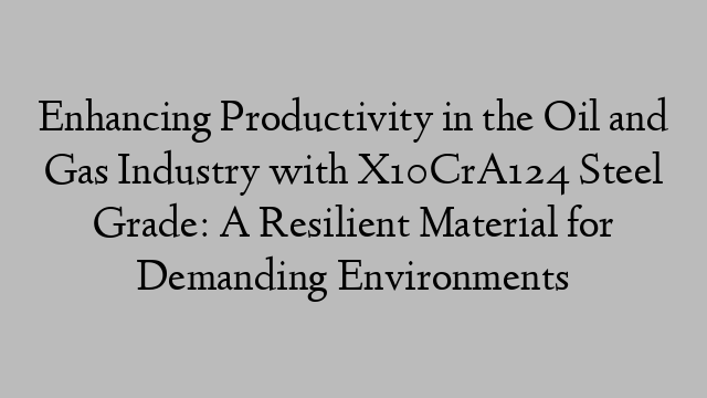 Enhancing Productivity in the Oil and Gas Industry with X10CrA124 Steel Grade: A Resilient Material for Demanding Environments