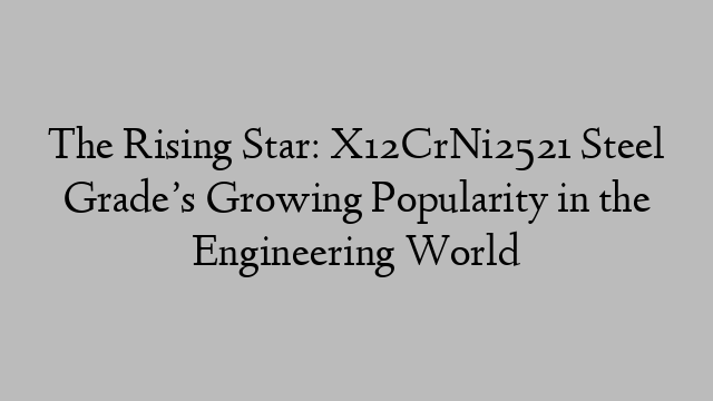 The Rising Star: X12CrNi2521 Steel Grade’s Growing Popularity in the Engineering World