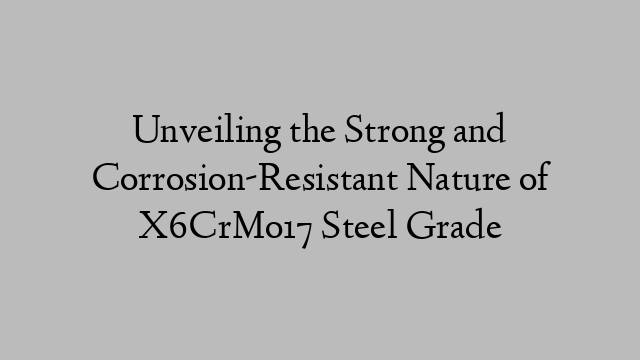 Unveiling the Strong and Corrosion-Resistant Nature of X6CrMo17 Steel Grade