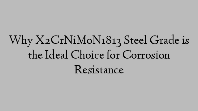 Why X2CrNiMoN1813 Steel Grade is the Ideal Choice for Corrosion Resistance